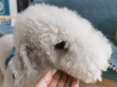 -美联众合24小时·皮肤科·外科·全科诊疗中心(华苑分院)