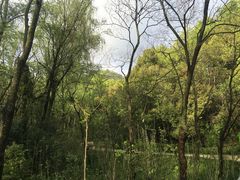-西湖风景区-江洋畈生态公园