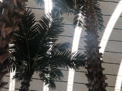 -沈阳站