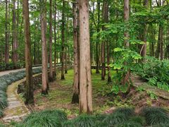 -五泄景区