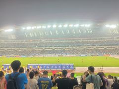 -南京奥林匹克体育中心-体育馆