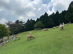 -神户市立六甲山牧场