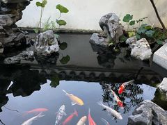 -道南書院·私房菜·早午茶·茶馆