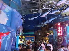 -烟台海昌鲸鲨海洋公园