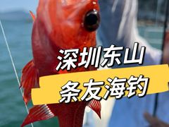-东山码头