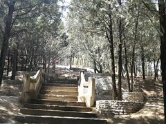 -北京鹫峰国家森林公园