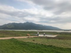 -悦城龙母祖庙