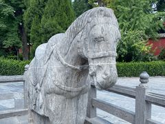-洛阳白马寺