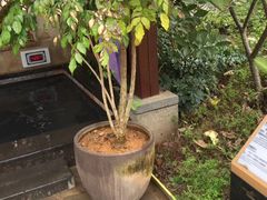 -凤翔首邑温泉度假村