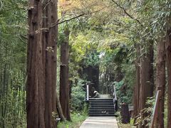 -同里国家湿地公园