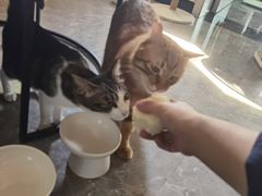 -贵阳李氏息烽阳朗鸡(民生路店)