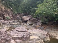 -广州白江湖森林公园