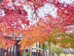 -南通博物苑-崇川人民公园