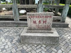 -上海佘山国家森林公园天马山园