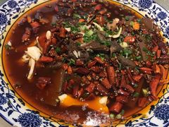 -院8里·少城记忆老川菜(宽窄巷子店)