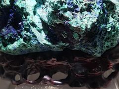 -安徽省地质博物馆
