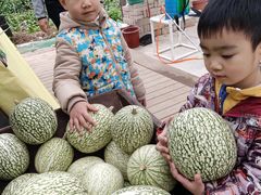 -迪茵湖田家舍生态农场
