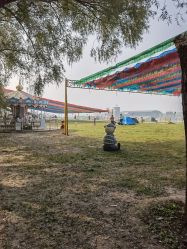 -大美儿童世界(奥林匹克水上公园店)