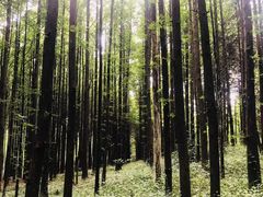 -山王坪喀斯特国家生态公园