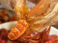 -靓蛙馆