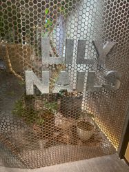 -LILY NAILS美甲美睫
