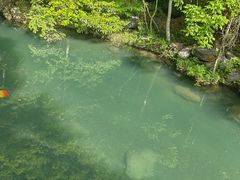 -石台牯牛降景区