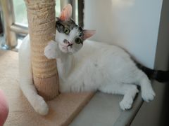 -爱侣宠医·鹦鹉专科·小型哺乳类·异宠专科(灵石路店)