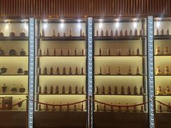 -广州珠江新城维多利酒店
