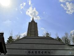 -舍利塔滩地公园-无垢净光舍利塔