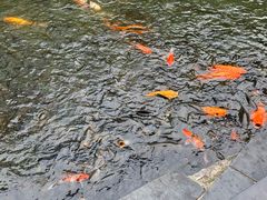 -柳侯公园
