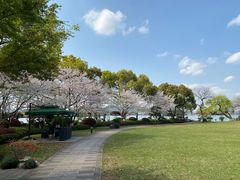 -浙江西子宾馆·瑶园咖啡厅