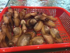 -船奇蒸汽海鲜·闽菜(八市海鲜总店)