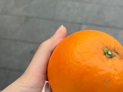 -煲宫猪肚鸡(昆山金鹰国际购物中心店)