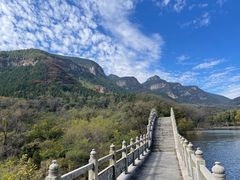 -鲁山国家森林公园