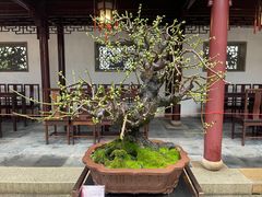 -豫园