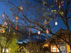 -大冰的小屋