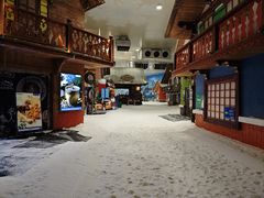 -长沙湘江欢乐雪域