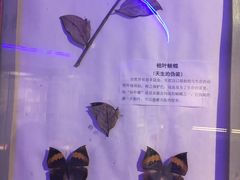 -中国湿地博物馆