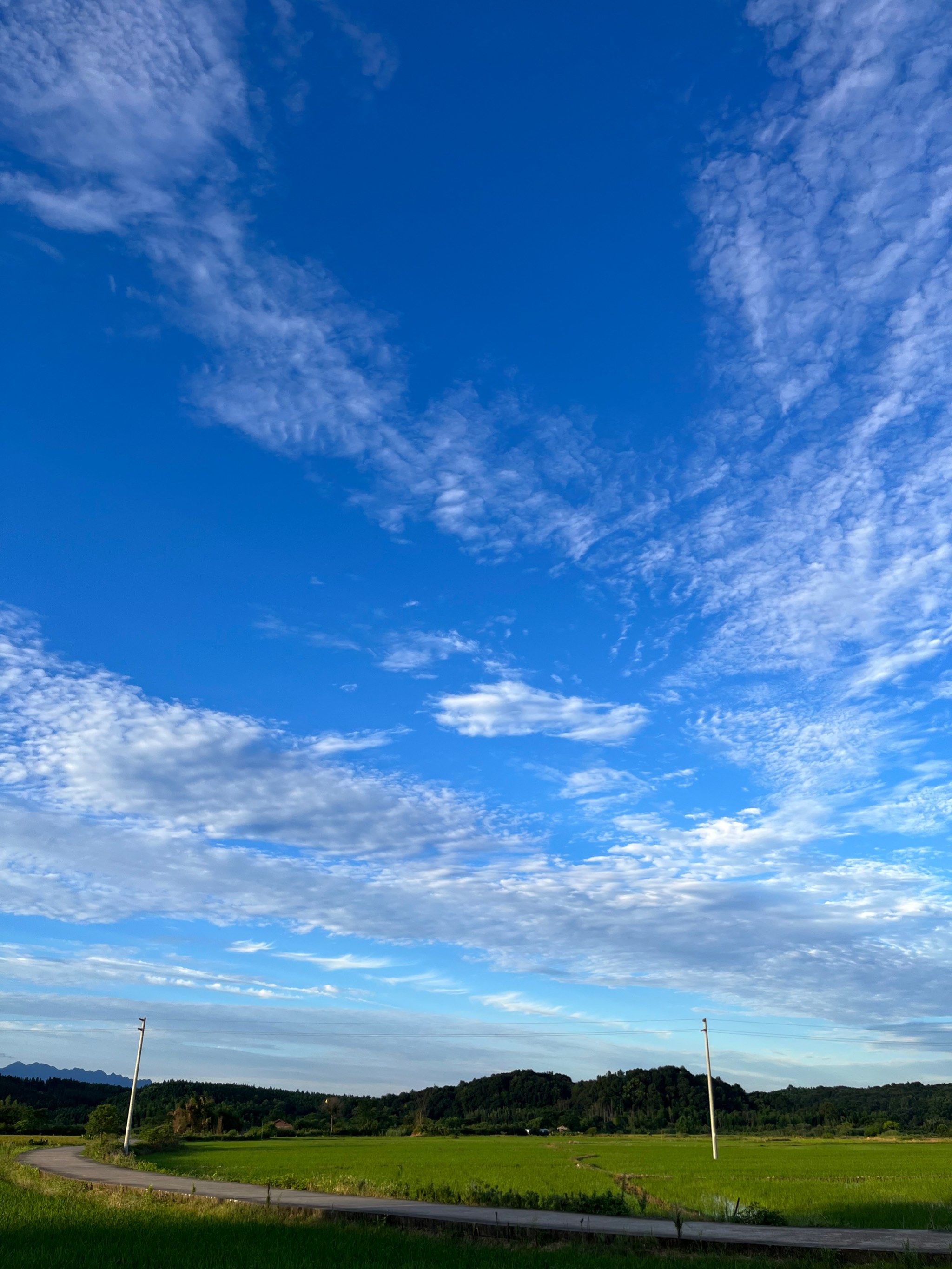 天天领红包 天空的颜色很美,宫崎骏的夏