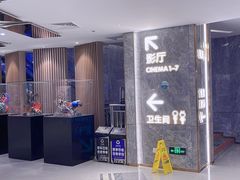 -上海金逸影城(静安大悦城店（原新恒星影城）)