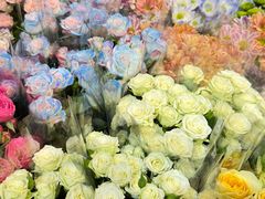 -溪岸路花鸟市场