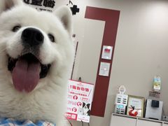 -御宝贝24h宠物医院·转诊中心·CT核磁血透中心(厦门总院)
