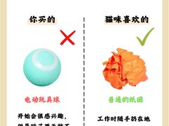 -半岛宠物医院24小时(科华中路店)