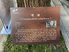 -南山植物园