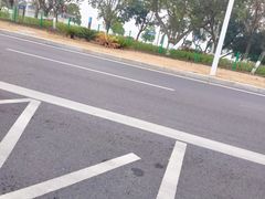 -张钰强中医正骨推拿连锁(唐家人才公寓店)
