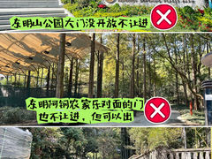 -东明山森林公园