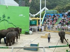 -大连森林动物园