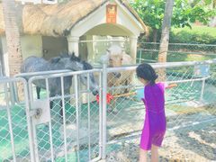 -三亚亚龙湾天域度假酒店