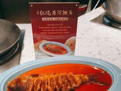 -阿五黄河大鲤鱼(英协路店)