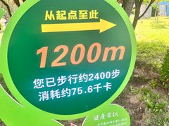 -太阳宫公园